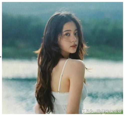 明星八卦大爆料最新合集,明星八卦大爆料最新合集深度解析